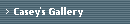Casey's Gallery